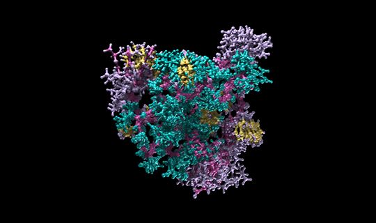 Insulin model texture