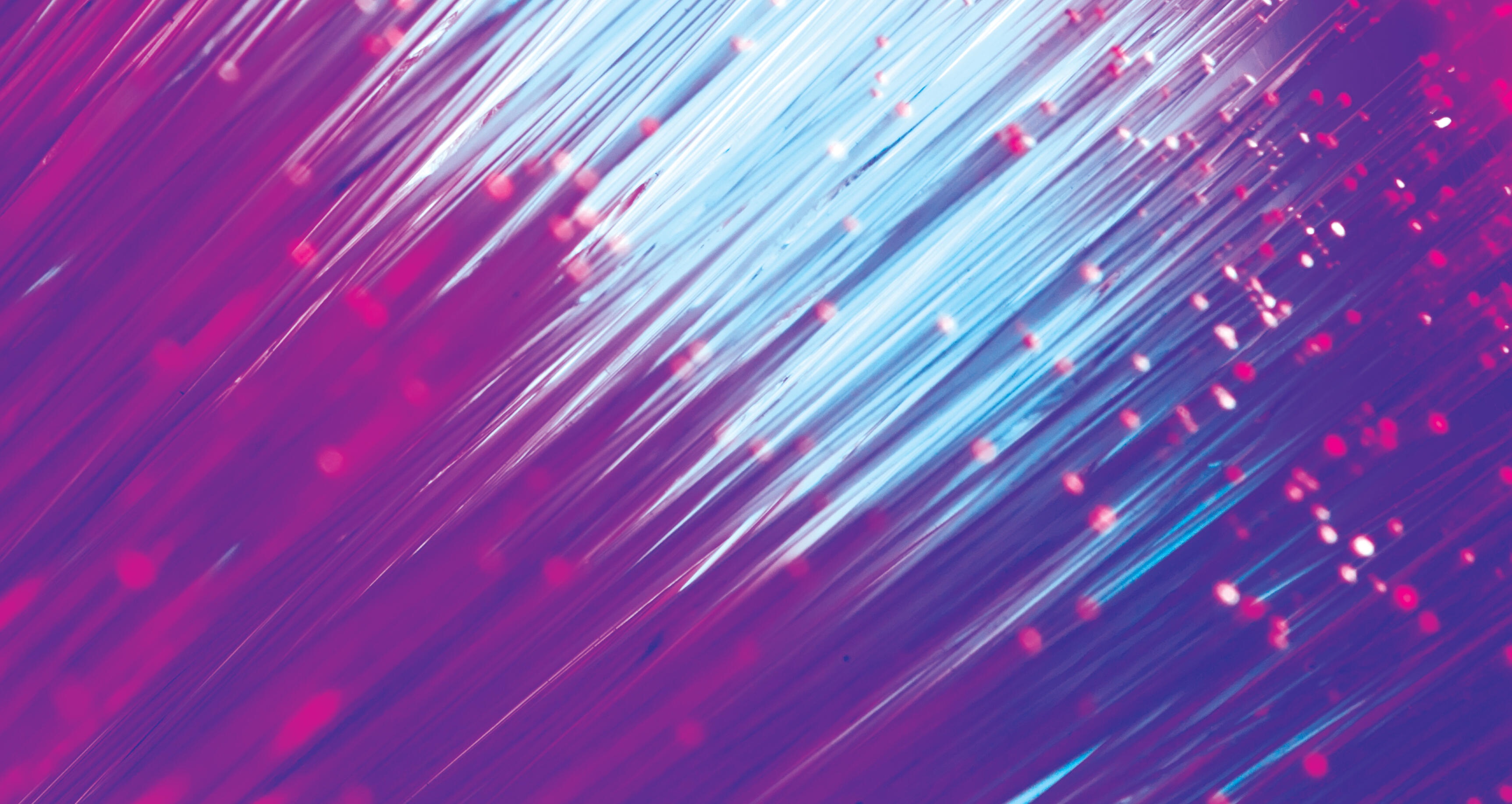 Rare and orphan commercialization and distribution