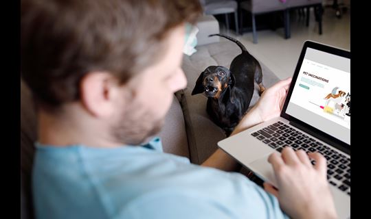 Man on computer researching pet vaccinations