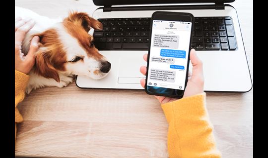 Woman's hand holding phone with AllyDVM's two-way texting platform displayed