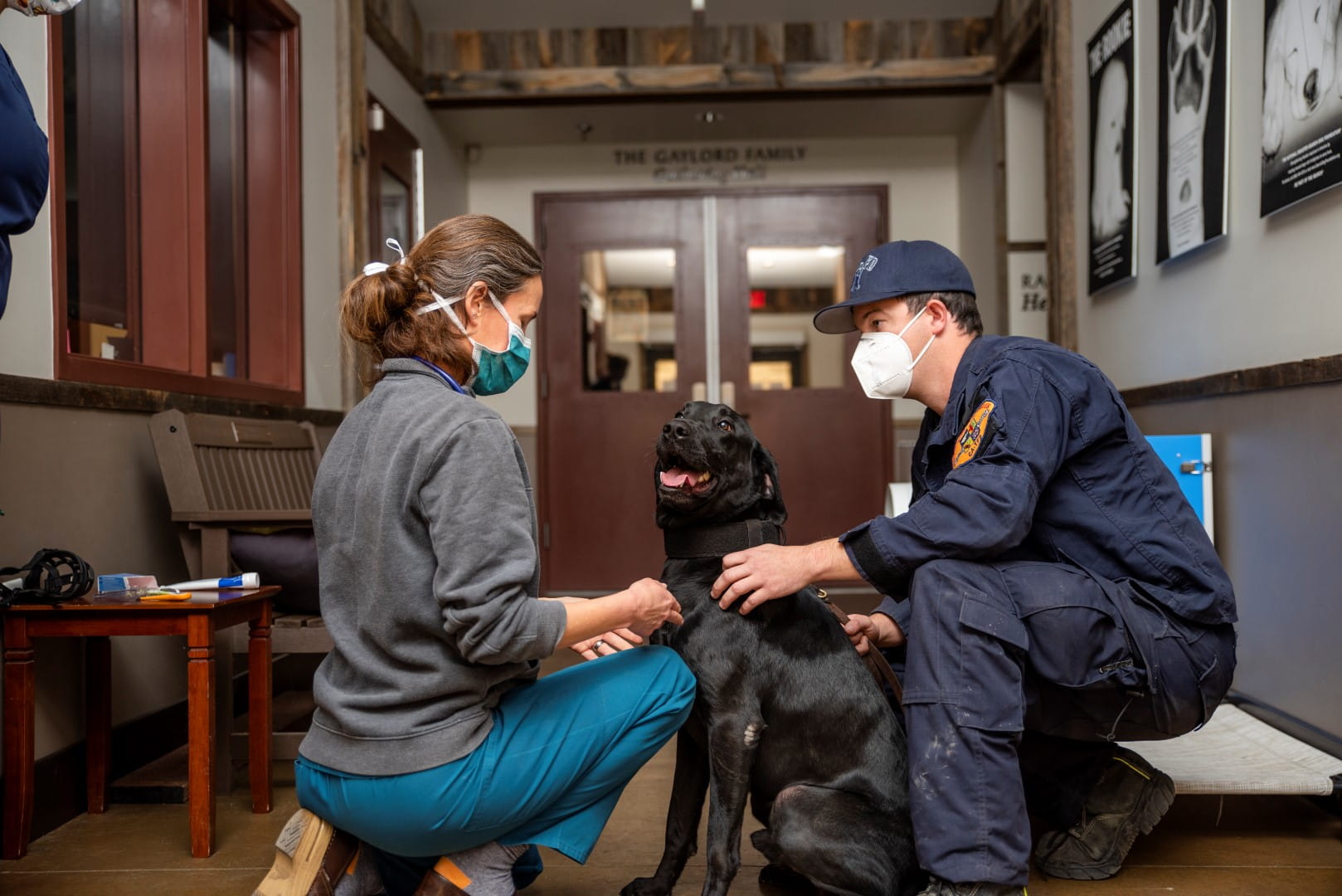 Search Dog Foundation _ Medical evaluation 2